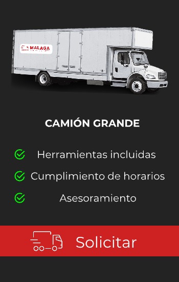 Camion grande